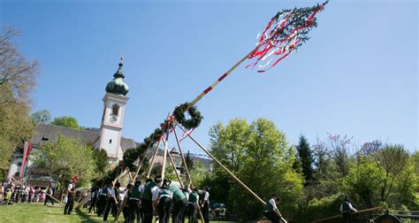 maibaumaufstellen salzburg 2023